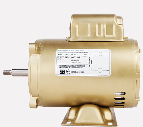 Single Phase Pump Motors