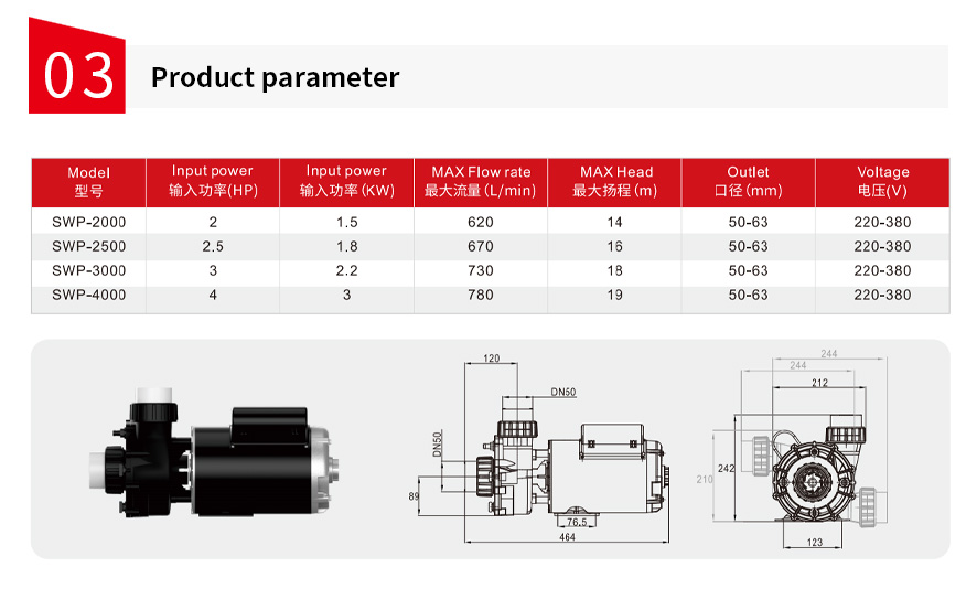 NEMA standard SPA pump