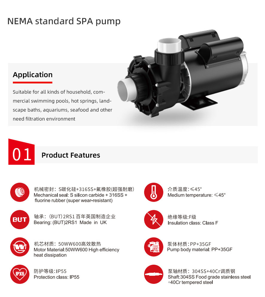 NEMA standard SPA pump