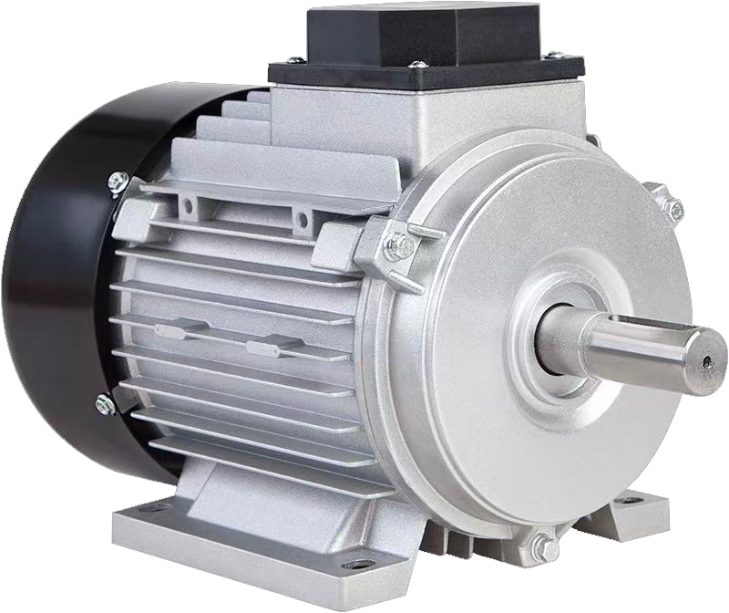 IEC Motors