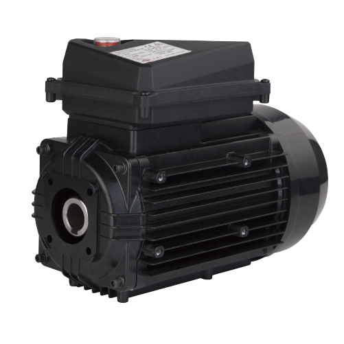 Specialty Motors